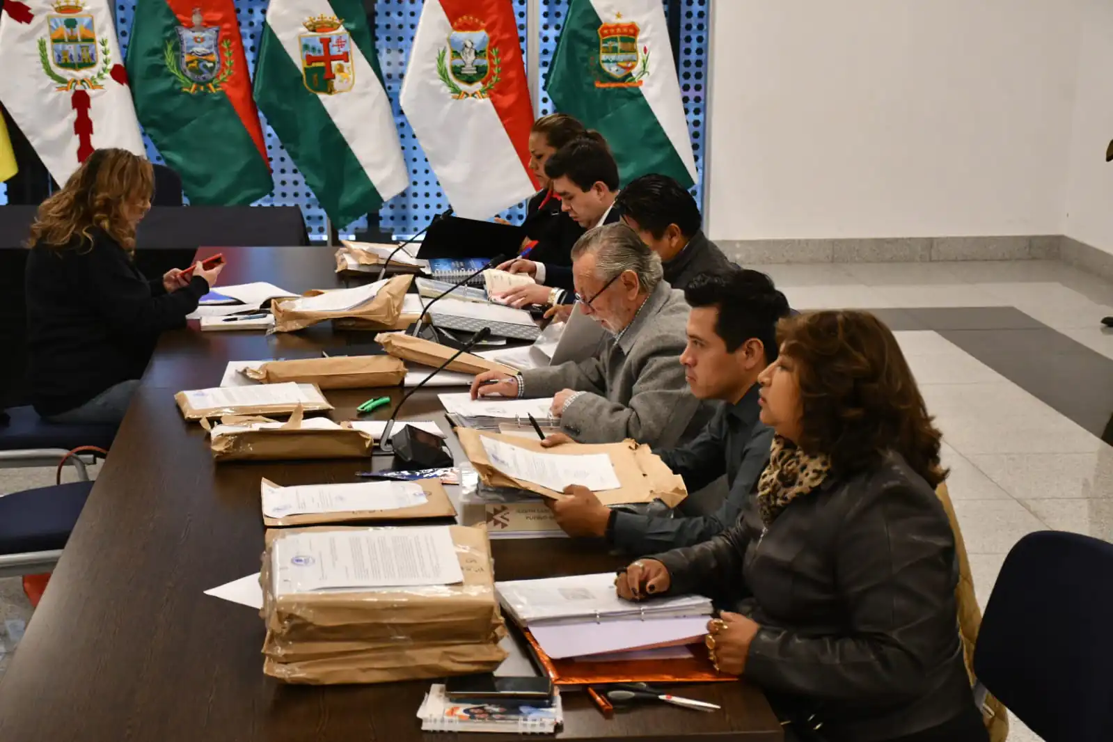 Recepción de postulaciones en la Comisión Mixta de Constitución. Foto: APG