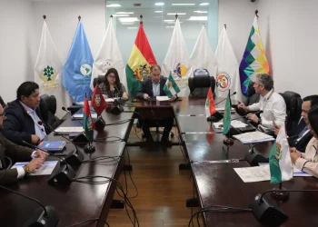 Supraestatales son designados ante seis organismos internacionales