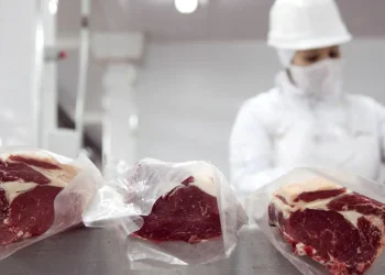 carne
