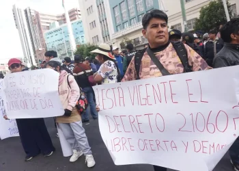 panificadores