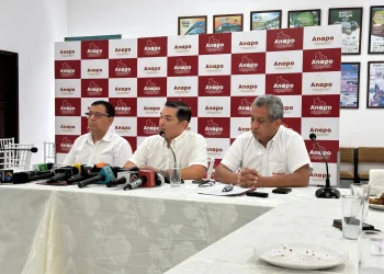 Anapo dice que producción de granos casi se duplicó esta gestión