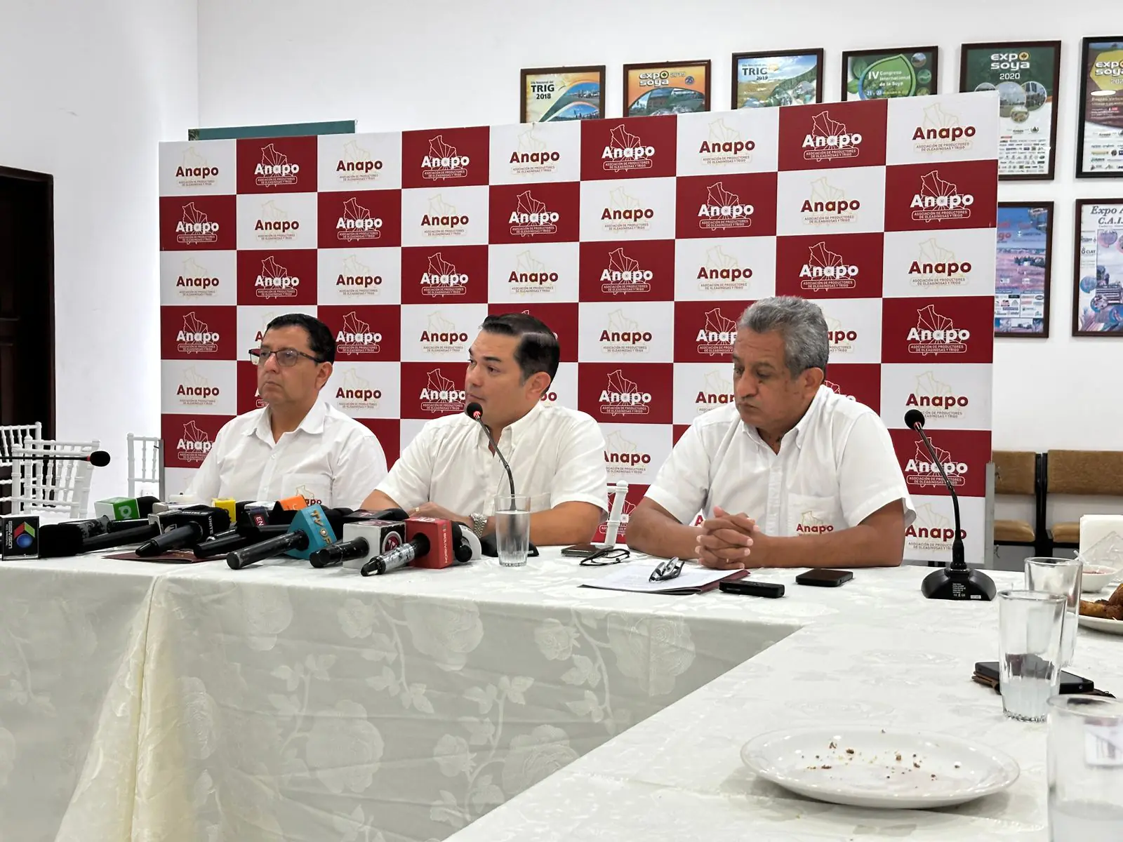 Anapo dice que producción de granos casi se duplicó esta gestión