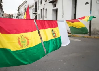 Constitución, emergencia económica y ajuste