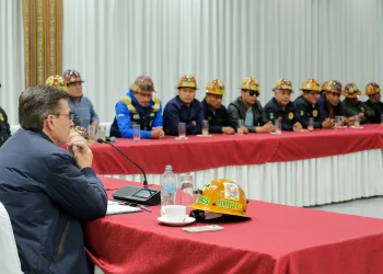 Mineros auríferos descartan protestas y respaldan el DS 5503