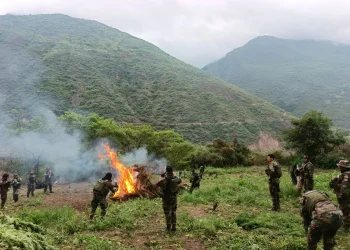 Los uniformados de la FELCN incineraron la droga hallada/FELCN