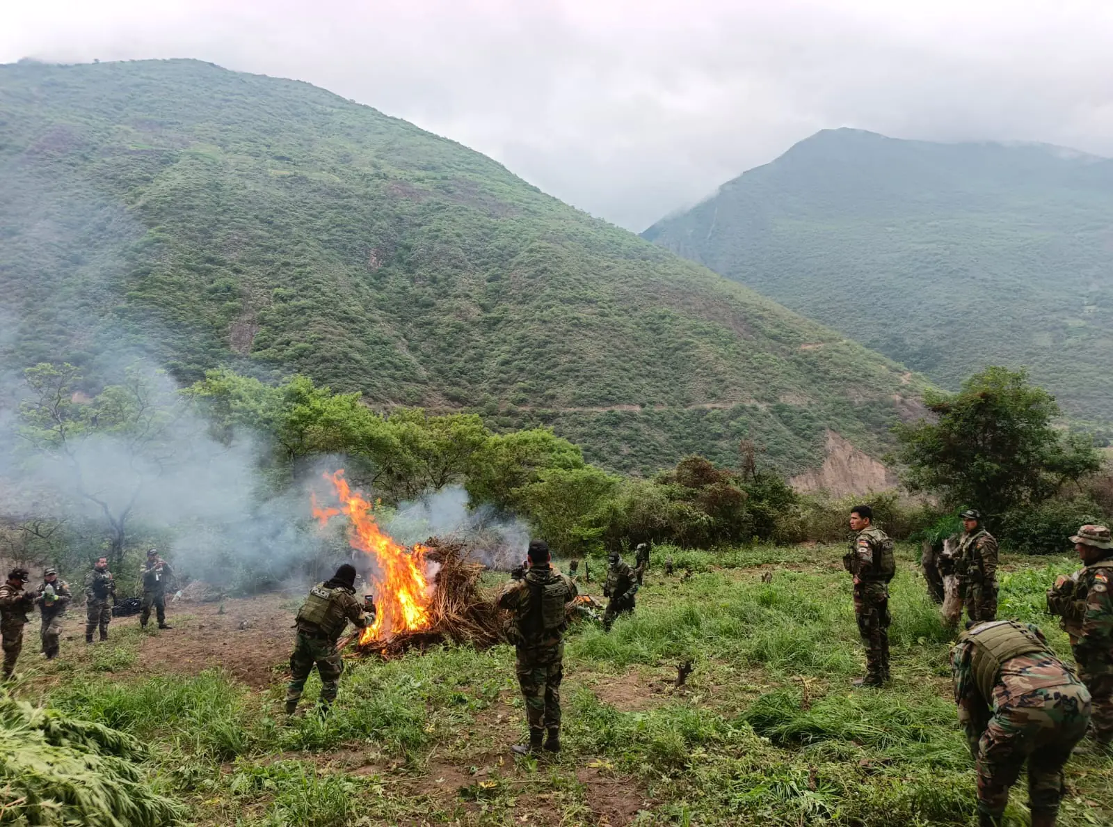 Los uniformados de la FELCN incineraron la droga hallada/FELCN
