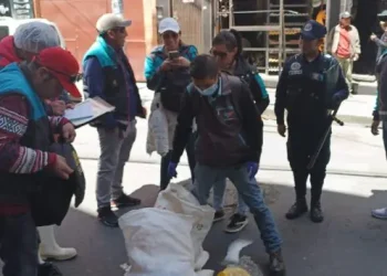 Personal edil decomisó pollos en descomposición en la feria de la Max Paredes. FOTO: GAMLP