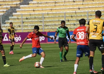 La empresa estatal Entel respaldaría un torneo con 18 clubes