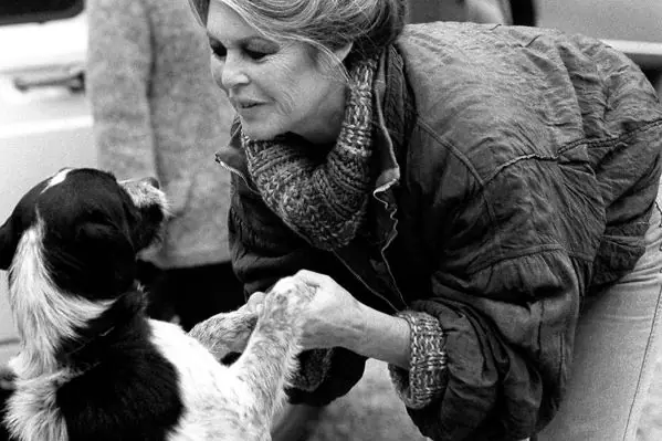 bardot_fundacion1.jpg