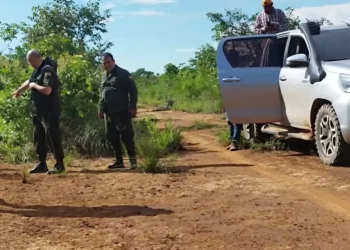 La Policía realizó un operativo para dar con el ganado robado/Fegabeni