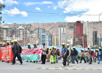 Gobierno ve influencia evista en protestas contra el DS 5503