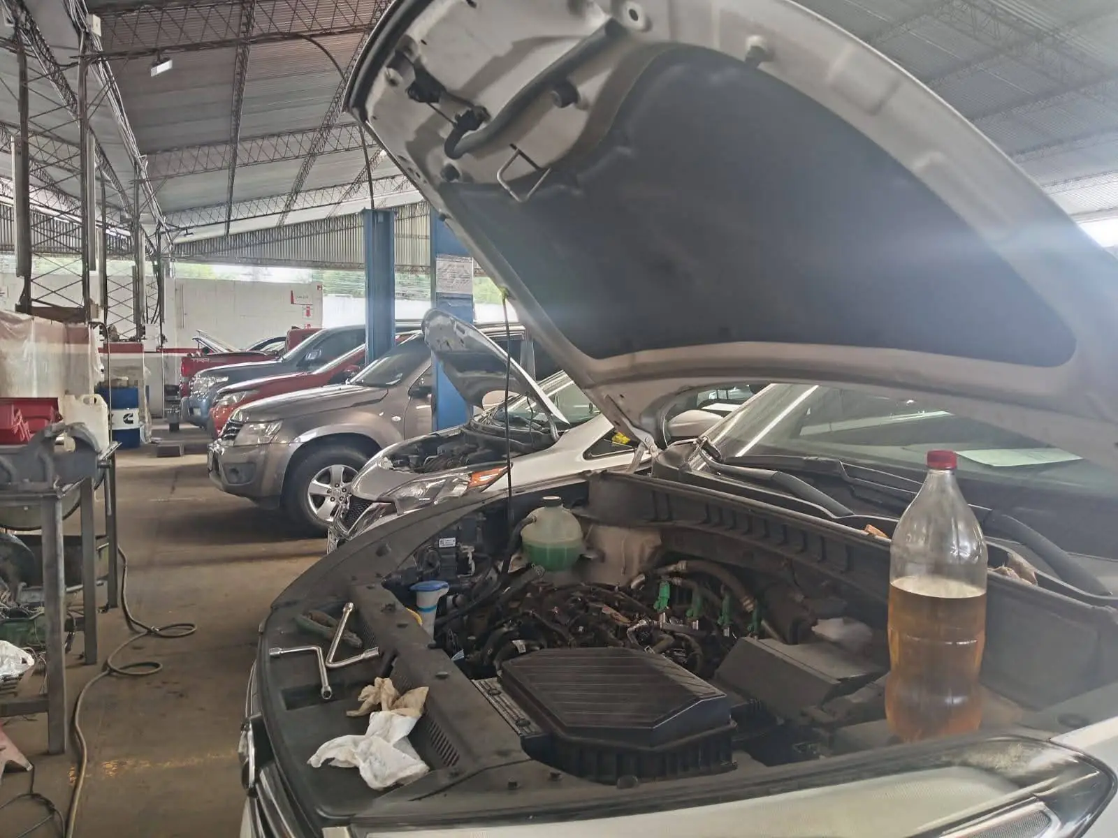 gasolina