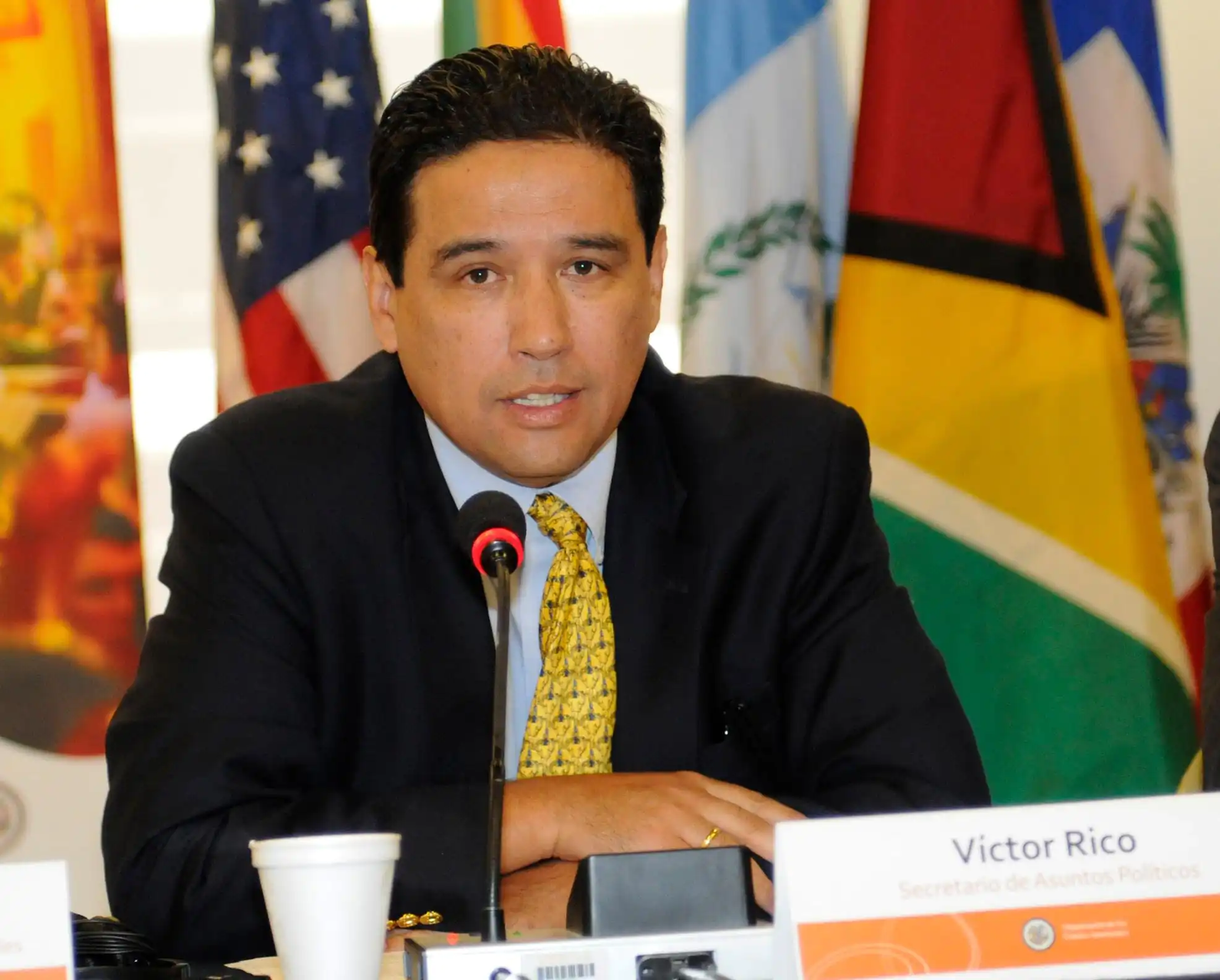 El boliviano Rico encabezará la misión electoral de la OEA en Perú