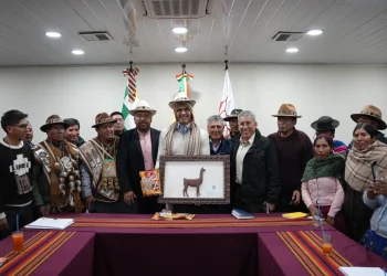 Gobierno impulsa alianza para liderar mercado mundial de camélidos