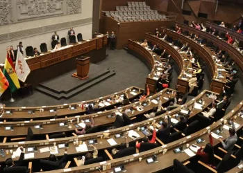 Diputados agenda la elección de vocales electorales de La Paz y Chuquisaca