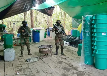 Umopar destruye tres fábricas móviles de droga en Cochabamba