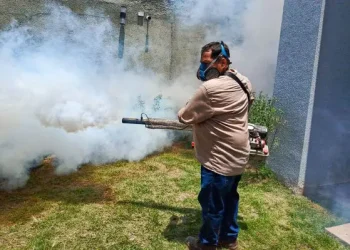 En un día, Santa Cruz reporta 24 casos más de chikungunya