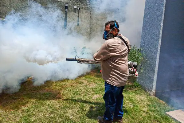 En un día, Santa Cruz reporta 24 casos más de chikungunya