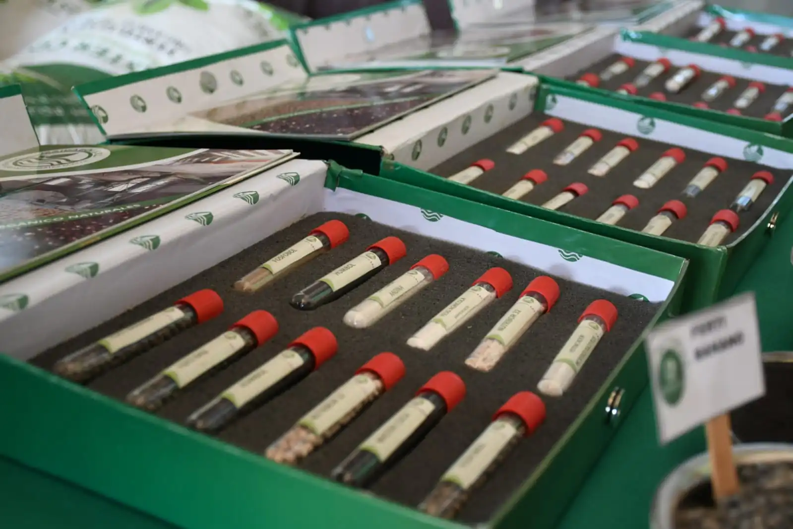 Bolivia estrena planta de fertilizantes minerales bioactivados