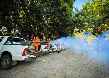 fumigacion.jpg