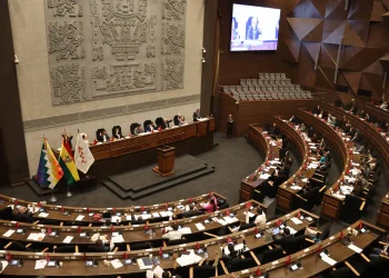 Cámara de Diputados aprueba 100% del crédito fiscal del IVA en carburantes