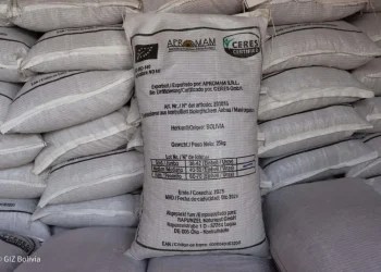 Maní orgánico boliviano llega a Europa con apoyo alemán