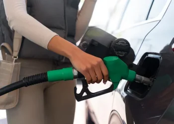 Cañeros rechazan que el etanol dañe motores de vehículos