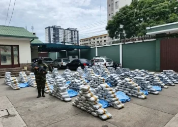 FELCN se incauta de una tonelada de marihuana en Cochabamba