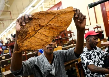 Cuba suspende el Festival del Habano por crisis energética