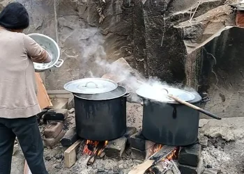 El 73% de los hogares usa gas, pero un 21% aún cocina con leña