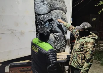 La FELCN secuestra más de tres toneladas de marihuana en Oruro
