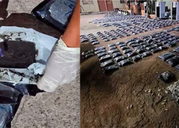 Viru Viru: Decomisan más de 356 kilos de marihuana proveniente de EEUU
