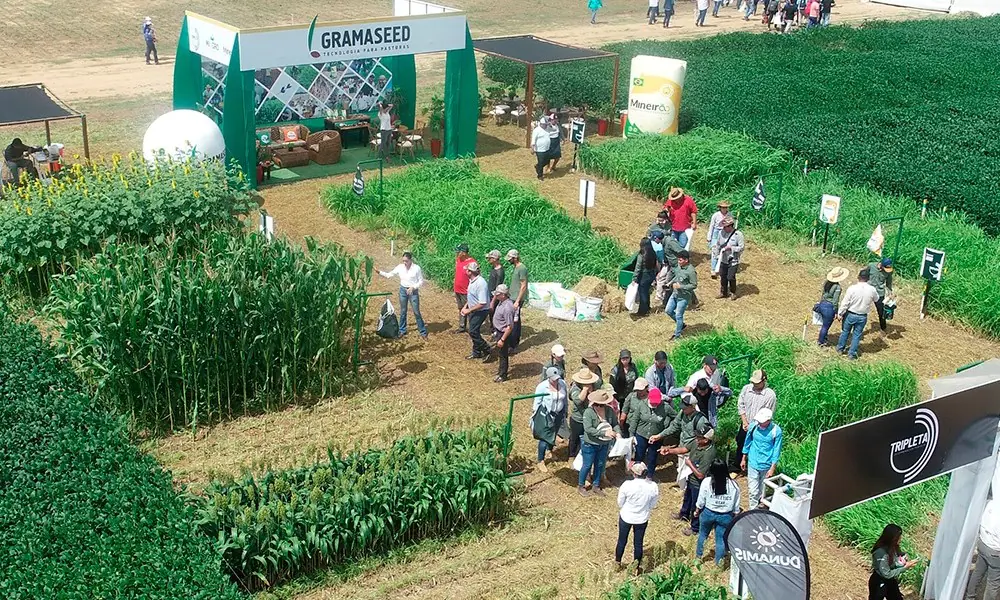 Exposoya