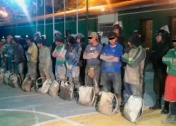 Policía, Fedecomin y AJAM se alían para frenar ‘jukeo’ en Potosí