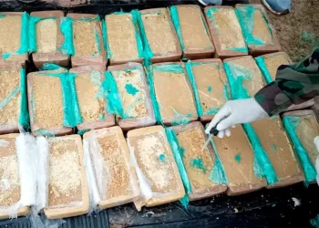 Umopar ejecuta operativos simultáneos y secuestra 42 kilos de cocaína