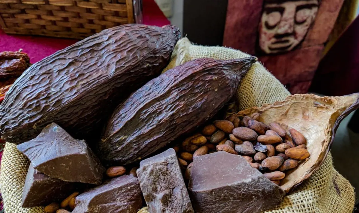 El cacao boliviano logra medallas de oro y plata en ‘Cacao Excellence Awards. FOTO: RRSS
