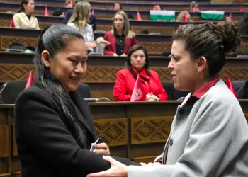 Cámara Baja posesiona a primera diputada con discapacidad visual
