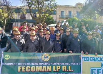Auríferos se desmarcan de Fencomin y se divide el sector minero