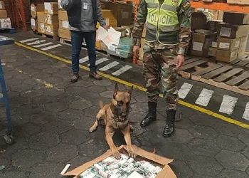 Un can detectó la droga/Felcn