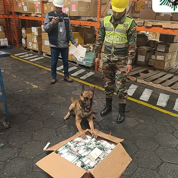 Un can detectó la droga/Felcn