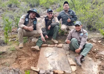 Los guardaparques realizando las labores para proteger el fósil/ Sernap