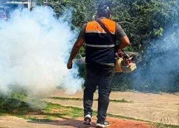 Fumigarán en varias zonas de Santa Cruz/RRSS