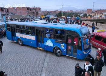 Sectores vulnerables se transportarán de forma gratuita en los buses municipales el viernes 6 de marzo. FOTO: GAMEA