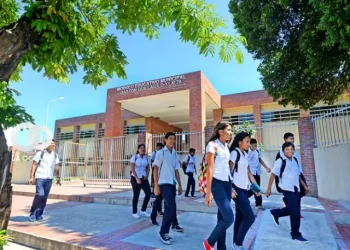 Maestros de Santa Cruz reportan ausentismo en colegios por casos de chikungunya. Foto referencial RRSS