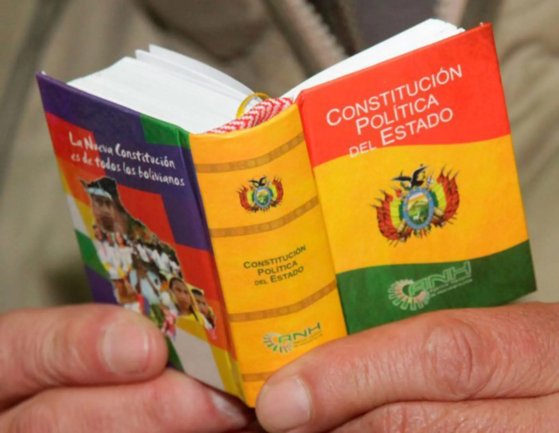 Razones públicas y cambio constitucional