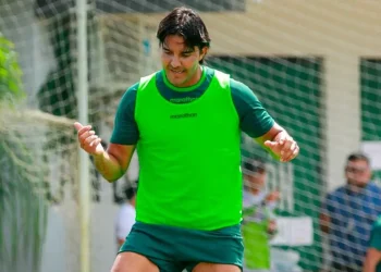 Martins dará examen este domingo ante el Tigre; ¿aprobará?