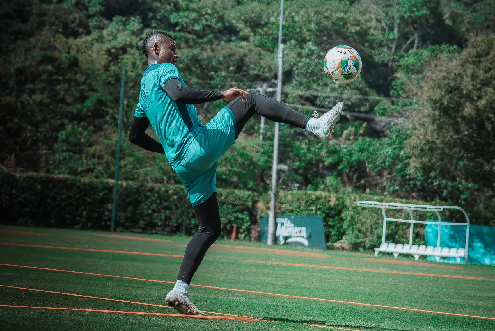 El venezolano Rafael Dudamel volverá a dirigir a Deportivo Cali