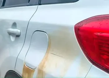 gasolina