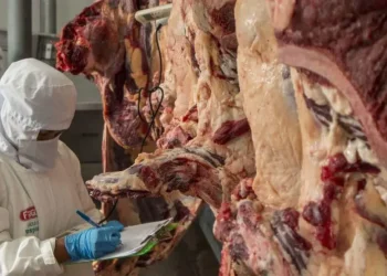 Bolivia comenzará a exportar carne a Paraguay