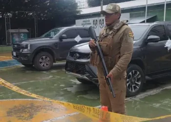 vehículos